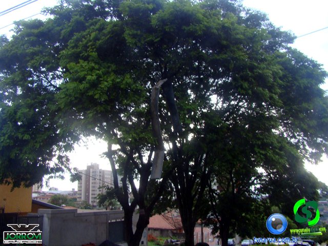 DSC08423.jpg