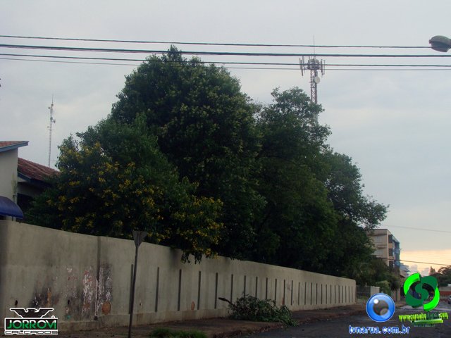 DSC08425.jpg