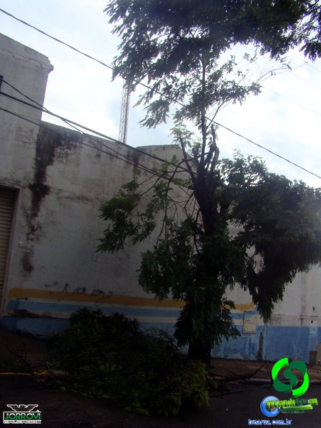 DSC08428.jpg