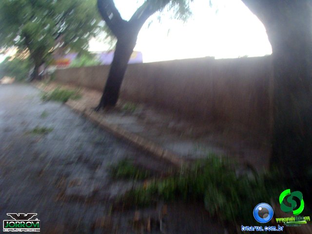 DSC08440.jpg