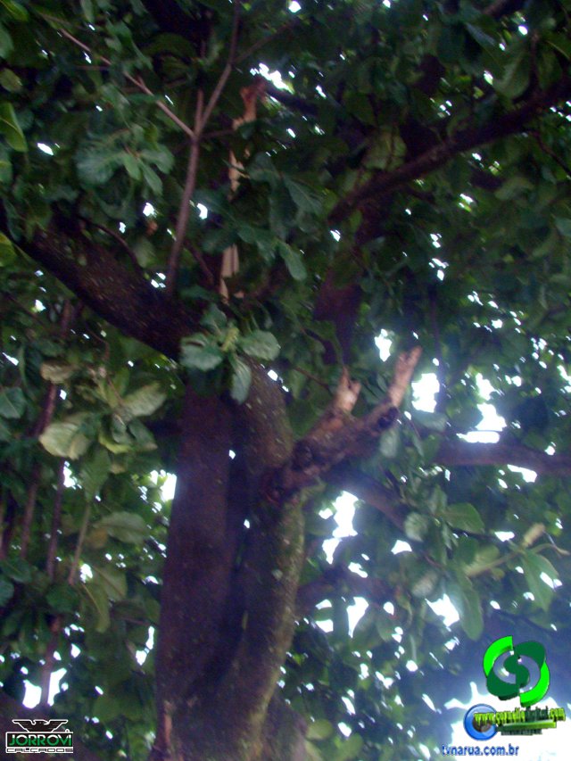 DSC08455.jpg