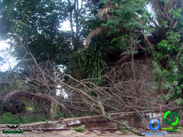 DSC08462.jpg