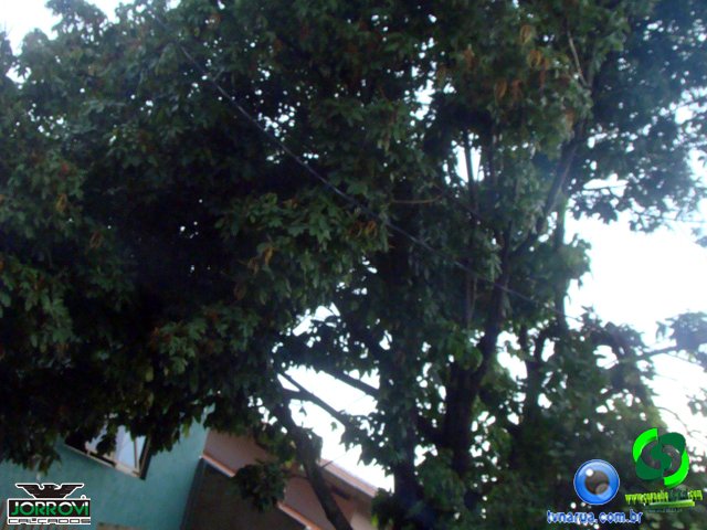 DSC08470.jpg