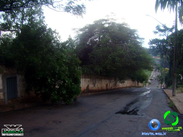 DSC08481.jpg