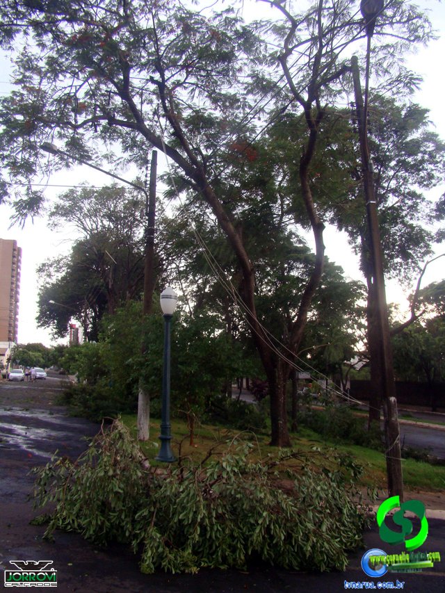 DSC08485.jpg