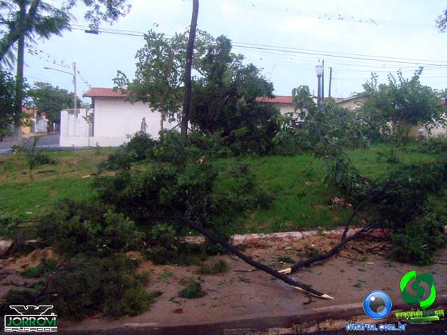DSC08489.jpg