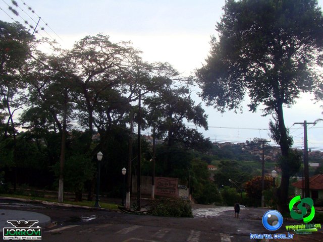 DSC08501.jpg