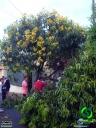 DSC08416.jpg