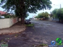 DSC08424.jpg