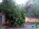 DSC08477.jpg