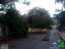 DSC08481.jpg