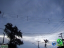 DSC08487.jpg