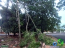 DSC08509.jpg