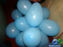Filename=DSC02656.jpg
Filesize=46KiB
Dimensions=640x480
Date added=May 13, 2012 DSC02656.jpg