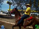 Filename=DSC00865.jpg
Filesize=111KiB
Dimensions=640x480
Date added=Feb 20, 2012 DSC00865.jpg