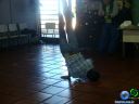 Filename=DSC02136.jpg
Filesize=57KiB
Dimensions=640x480
Date added=Jun 13, 2012 DSC02136.jpg