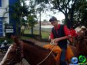 Filename=DSC07279.jpg
Filesize=89KiB
Dimensions=640x480
Date added=May 28, 2012 DSC07279.jpg