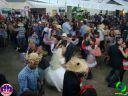 DSC02523.jpg