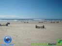 Filename=DSC04116.jpg
Filesize=50KiB
Dimensions=640x480
Date added=Jan 24, 2012 DSC04116.jpg