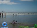 Filename=DSC04176.jpg
Filesize=47KiB
Dimensions=640x480
Date added=Jan 24, 2012 DSC04176.jpg