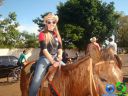 Filename=DSC03496.jpg
Filesize=110KiB
Dimensions=640x480
Date added=Jun 18, 2012 DSC03496.jpg