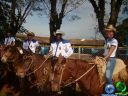 Filename=DSC03541.jpg
Filesize=98KiB
Dimensions=640x480
Date added=Jun 18, 2012 DSC03541.jpg