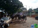 Filename=DSC03564.jpg
Filesize=85KiB
Dimensions=640x480
Date added=Jun 18, 2012 DSC03564.jpg