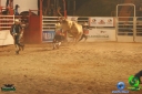 Filename=DSC01543.jpg
Filesize=69KiB
Dimensions=640x427
Date added=Dec 14, 2012 DSC01543.jpg