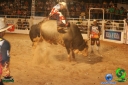 Filename=DSC01603.jpg
Filesize=76KiB
Dimensions=640x427
Date added=Dec 14, 2012 DSC01603.jpg