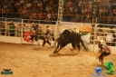 Filename=DSC01616.jpg
Filesize=81KiB
Dimensions=640x427
Date added=Dec 14, 2012 DSC01616.jpg