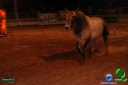 Filename=DSC01731.jpg
Filesize=49KiB
Dimensions=640x427
Date added=Dec 14, 2012 DSC01731.jpg