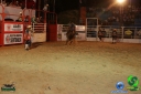 DSC01733.jpg