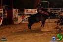 Filename=DSC01751.jpg
Filesize=72KiB
Dimensions=640x427
Date added=Dec 14, 2012 DSC01751.jpg