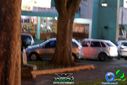 DSC02247.jpg
