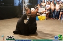 Filename=DSC08327.jpg
Filesize=72KiB
Dimensions=790x527
Date added=Feb 18, 2013 DSC08327.jpg