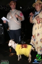 DSC04963.jpg