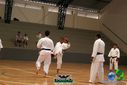 DSC05312.jpg