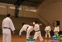 Filename=DSC05332.jpg
Filesize=88KiB
Dimensions=790x527
Date added=Sep 23, 2013 DSC05332.jpg