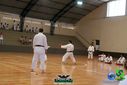 Filename=DSC05337.jpg
Filesize=90KiB
Dimensions=790x527
Date added=Sep 23, 2013 DSC05337.jpg