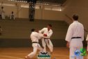 Filename=DSC05352.jpg
Filesize=86KiB
Dimensions=790x527
Date added=Sep 23, 2013 DSC05352.jpg