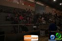 Filename=DSC01337.jpg
Filesize=94KiB
Dimensions=790x527
Date added=Nov 25, 2013 DSC01337.jpg