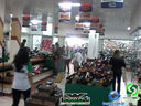 DSC03166.jpg
