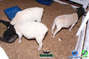 DSC07779.jpg