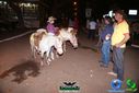 Filename=DSC02076.jpg
Filesize=99KiB
Dimensions=790x527
Date added=Sep 09, 2013 DSC02076.jpg