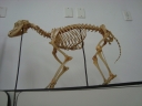 Filename=DSC02018.JPG
Filesize=137KiB
Dimensions=640x480
Date added=May 07, 2013 DSC02018.JPG