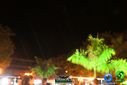 DSC09770.jpg