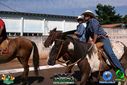 Filename=DSC03319.jpg
Filesize=122KiB
Dimensions=790x527
Date added=Aug 04, 2013 DSC03319.jpg