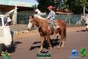 DSC03343.jpg