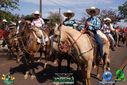 Filename=DSC03389.jpg
Filesize=141KiB
Dimensions=790x527
Date added=Aug 04, 2013 DSC03389.jpg