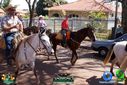 Filename=DSC03435.jpg
Filesize=135KiB
Dimensions=790x527
Date added=Aug 04, 2013 DSC03435.jpg